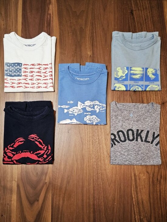 Crewcuts Other - Crewcuts J Crew Boys Graphic Tee Lot 5 Pc 2T 3T